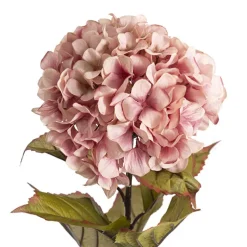 Princess Hydrangea Stem Blush Pink (106cmH)