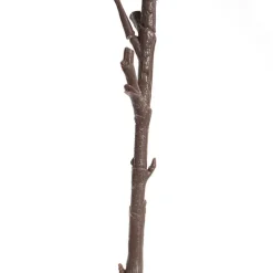 Princess Hydrangea Stem Blush Pink (106cmH)