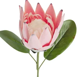 Protea Robyn Stem Soft Pink (12cmDx42cmH)