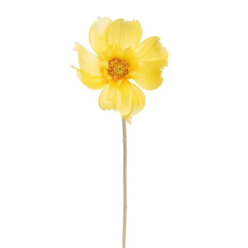 Queen Cosmos Stem Yellow (12cmDx56cmH)