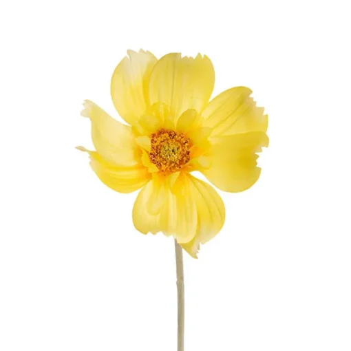 Queen Cosmos Stem Yellow (12cmDx56cmH)
