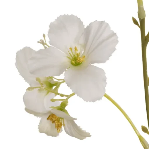Raspberry Flower Spray White (65cmH)