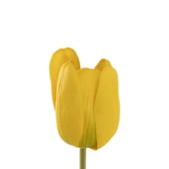 Real Look Wicked Tulip Yellow (6cmDx63cmH)