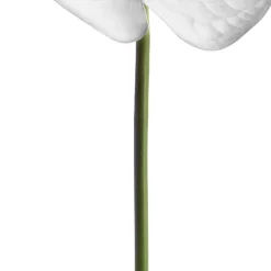 Real Touch Anthurium White (63cmH)