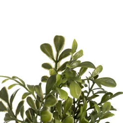 Real Touch Boxwood Spray Green (60cmH)
