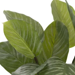 Real Touch Calathea Potted Plant Green (48cmH)