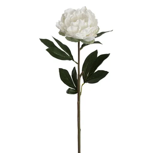 Real Touch Peony Stem Off White (15cmDx68cmH)