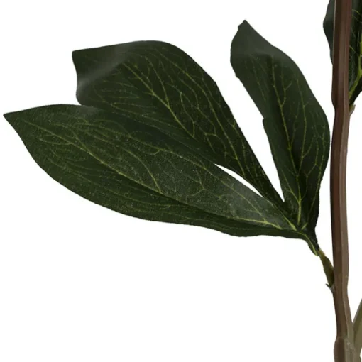 Real Touch Peony Stem Off White (15cmDx68cmH)