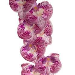 Real Touch Phalaenopsis Orchid Stem x7 Head Purple (85cmH)