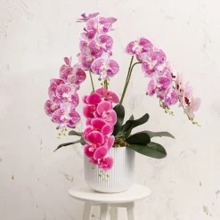 Real Touch Phalaenopsis Orchid Stem x7 Head Purple (85cmH)
