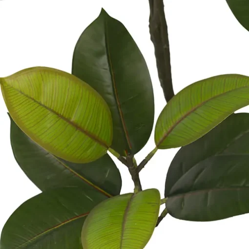 Real Touch Rubber Tree in White Pot Green (90cmH)