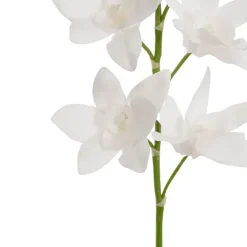 Real Touch Singapore Orchid x5 Flowers White (64cmH)