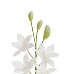 Real Touch Singapore Orchid x5 Flowers White (64cmH)
