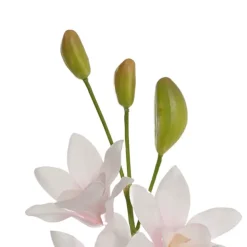 Real Touch Singapore Orchid x5 Flowers Cream Pink (64cmH)