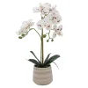 Real Touch Single Phalaenopsis Orchid Potted White (51cmH)