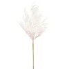 Reed Spray Cream (81cmH)