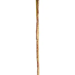 Reed Spray Cream (81cmH)