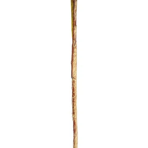 Reed Spray Cream (81cmH)