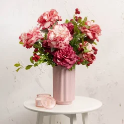 Rose Gruss An Aachen Stem Pink (68cmH)