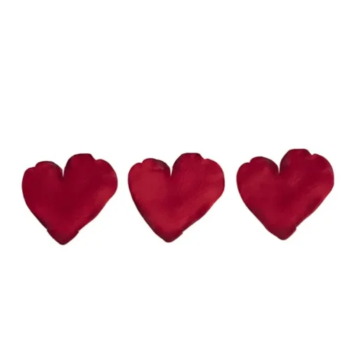 Rose Petals Large Heart Shape Dark Red (120PC Bag)