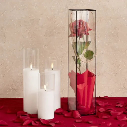 Rose Square PVC Carry Tube Clear & Black Pack 5 (10cmx50cmH)