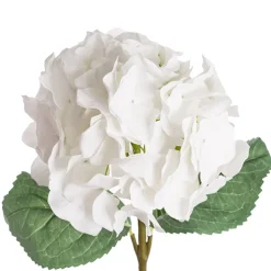 Royal Hydrangea Stem White (18cmDx78cmH)