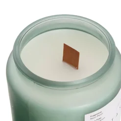 Scented Candle Botany Jar Neon Melon (400g)