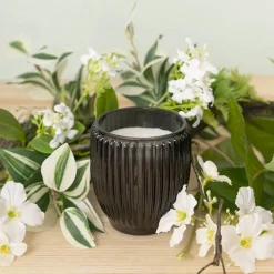 Scented Candle Grovedale Jar Nordic Jasmine (8x10cmH) 135g
