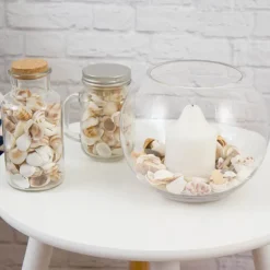 Shells Assorted Natural (340gm Jar)