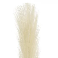 Single Stem Pampas Spray Off White (70cmH)