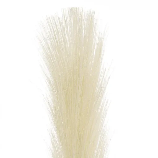 Single Stem Pampas Spray Off White (70cmH)