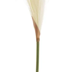 Single Stem Pampas Spray Off White (70cmH)