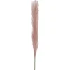 Single Stem Pampas Spray Dusty Pink (70cmH)