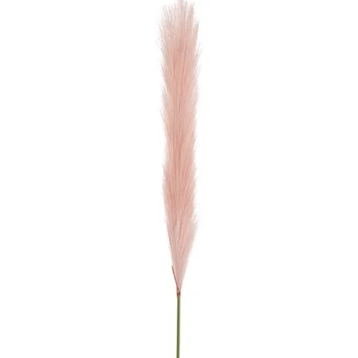 Single Stem Pampas Spray Soft Pink (70cmH)