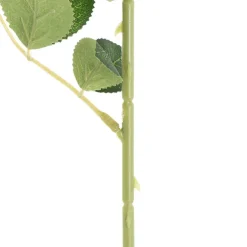 Sophie Open Rose Stem Dusty Pink (11.5cmDx51cmH)