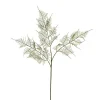 Sprenger's Asparagus Fern Spray Green (80cmH)