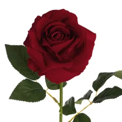 Velvet Rose Full Bloom Stem Dark Red (13cmDx75cmH)