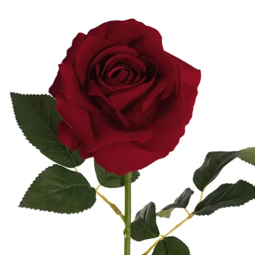 Velvet Rose Full Bloom Stem Dark Red (13cmDx75cmH)