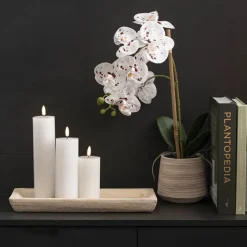 Wax LED Trueflame Event Pillar Candle White (5.5x15cmH)