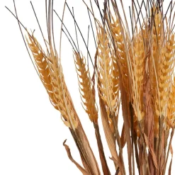 Wheat Bunch x18 Stems Beige (60cmH)