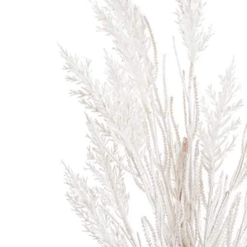 Wheat Spray Cream (104cmH)